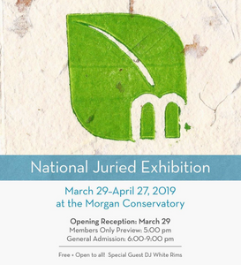 New Exhibition: National Juried Exhibition at the Morgan Paper Conservatory